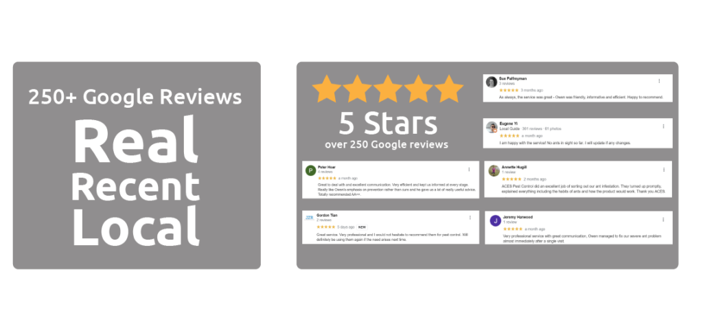 5 stars from 250 google reviews